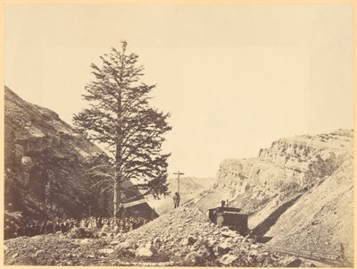 Árvore de Mil Milhas, Passo de Wilhemina de A.J. Russell