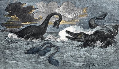 Plesiossauro e um ictiossauro do período do Jurássico Inferior de A. Demarle