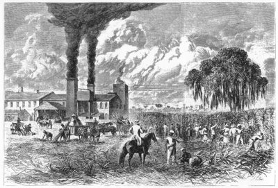 Sugar Plantation, Nova Orleans, 1870. de A. R. Ward