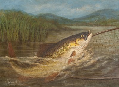 A rede do pescador de A. Roland Knight