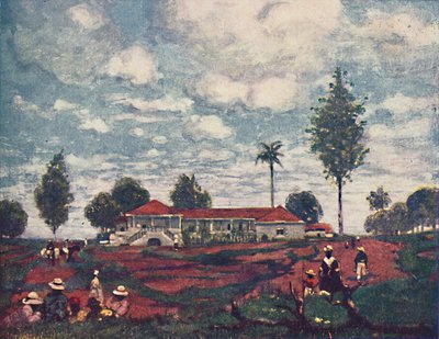A Coffee Fazenda, 1916 de A. S. Forrest