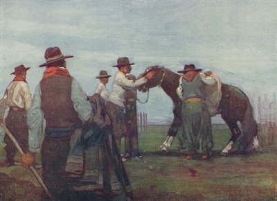 Gaúchos quebrando em um cavalo jovem, 1916 de A. S. Forrest