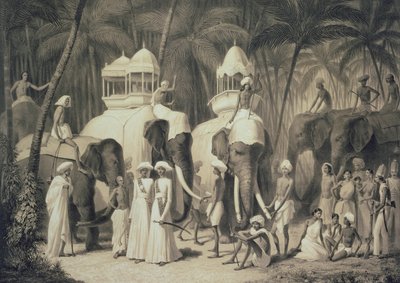Elefantes do Raja de Travandrum, de &39;Voyage in India&39;, gravada por Louis Henri de Rudder (1807-81) de A. Soltykoff