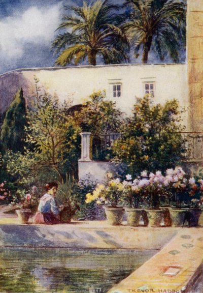 Sevilha, Jardins do Alcazar (cor litho) de A. Trevor Haddon