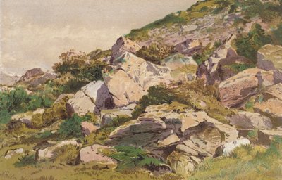 Estudo das pedras do lado norte de Taliaris, perto de Llandilo, País de Gales do Sul (cromolitografia) de Aaron Edwin Penley