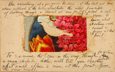 Estêncil de ave, pasta de estudo para o livro "Concealing Coloration in the Animal Kingdom de Abbott Handerson Thayer