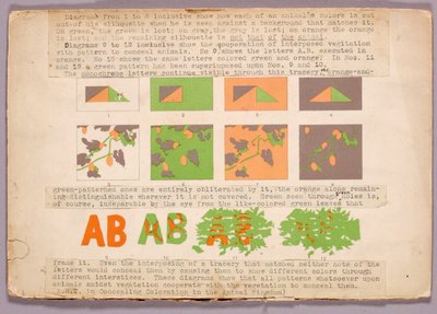 Diagrama e cobra-cabeça-de-cobre, pasta de estudos para o livro Concealing Coloration in the Animal Kingdom de Abbott Handerson Thayer