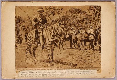 Cavalo e cruzador camuflados, pasta de estudo para o livro Concealing Coloration in the Animal Kingdom de Abbott Handerson Thayer