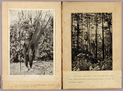 Guerreiros Kalinga e Índios N. Americanos, pasta de estudo para o livro Concealing Coloration in the Animal Kingdom de Abbott Handerson Thayer
