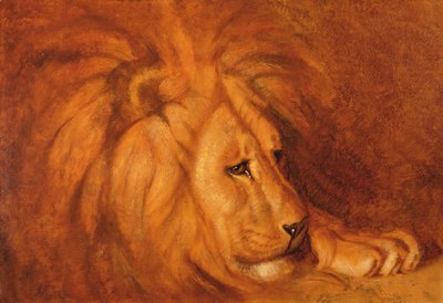 Leão em repouso (óleo sobre tela) de Abbott Handerson Thayer