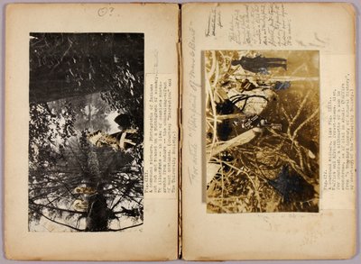 N. Índios americanos, pasta de estudo para o livro Concealing Coloration in the Animal Kingdom de Abbott Handerson Thayer