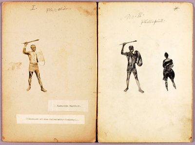Tatuagem - Guerreiro solitário, dossier de estudo para o livro "Concealing Coloration in the Animal Kingdom de Abbott Handerson Thayer