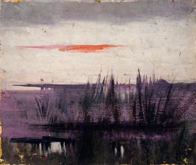 The Sky Simulated by White Flamingoes estudo para o livro, Concealing Coloration in the Animal Kingdom de Abbott Handerson Thayer