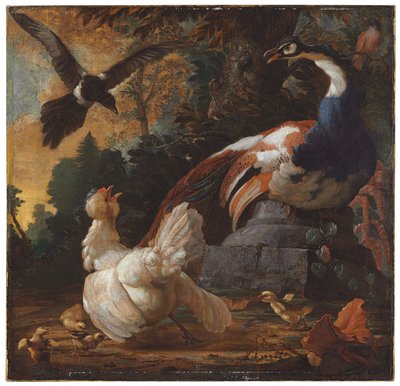Um pavão, aves e uma pega em uma paisagem, 1720 de Abraham Bisschop