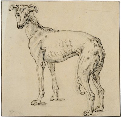 Galgo de Abraham Bloemaert