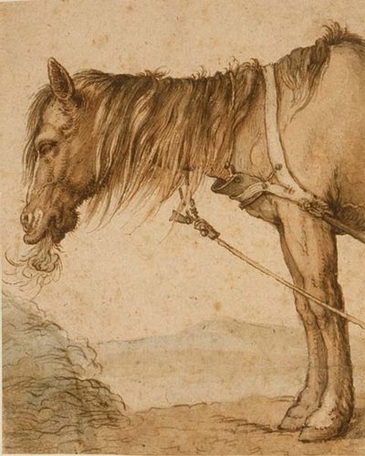 PD.159-1963 A Horse Eating Hay, c.1600-10 (caneta e tinta, lavagem) de Abraham Bloemaert