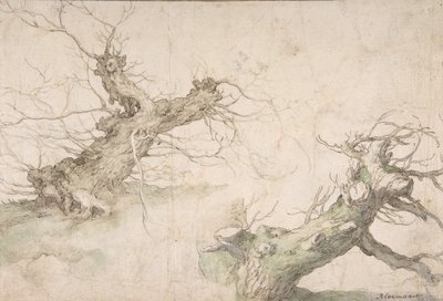 Estudos de Dois Salgueiros Pollard, Verso: Wide Landscape Prospect, final do século XVI a meados do século XVII. de Abraham Bloemaert