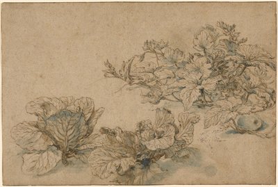 Estudos de uma aboboreira e couves de Abraham Bloemaert
