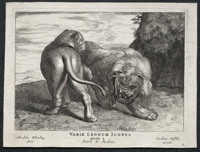 Vários Leões de Abraham Blooteling