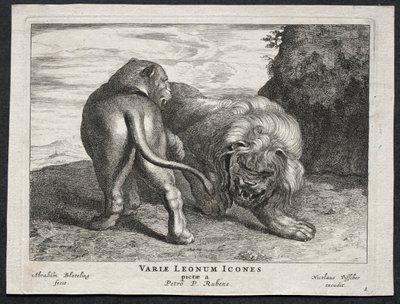 Vários Leões. de Abraham Blooteling