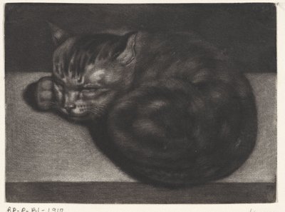 Gato adormecido de Abraham Bloteling