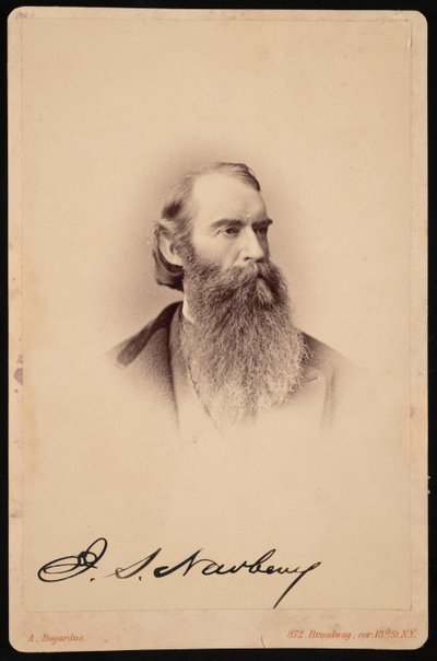 Retrato de John Strong Newberry 1822-1892, entre 1876 e 1887. de Abraham Bogardus