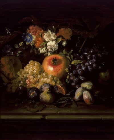 Natureza morta com flores e frutas de Abraham Brueghel