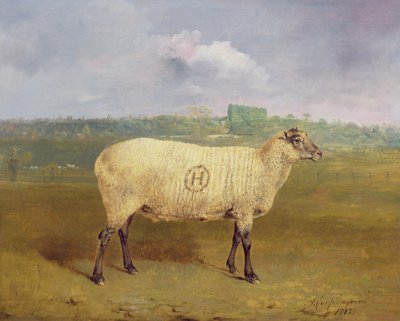 Um prêmio ovelha com monograma &39;H&39;, pertencente ao Sr. JA Houblon, Hallingbury Place, Essex, 1812 de Abraham Cooper
