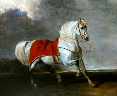 Carregador cinzento assustado por uma tempestade, chamado "Millenium". de Abraham Cooper