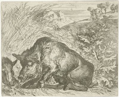 Javali selvagem
Vários animais (título da série) de Abraham Danielsz. Hondius