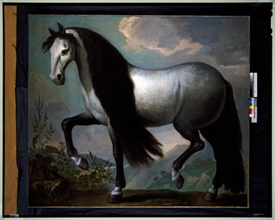 Cavalo numa paisagem de Abraham Jansz. van Diepenbeeck