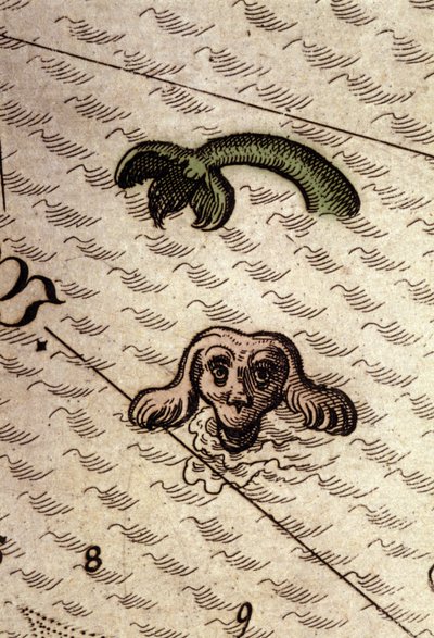 Um monstro marinho tem a cabeça de um cão e um corpo de peixe. Detalhe de um mapa em "Theatrum Orbis Terrarum" de Abraham Ortelius, Antuérpia, 1584. de Abraham Ortelius