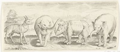 Gazela, elefante e rinoceronte Animais (título da série) de Abraham de Bruyn (possibly)