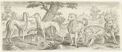 cães Animais (título da série) de Abraham de Bruyn (possibly)