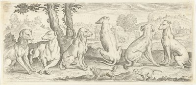 cães Animais (título da série) de Abraham de Bruyn (possibly)