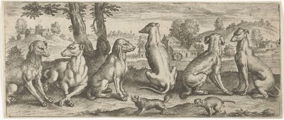 cães Animais (título da série) de Abraham de Bruyn (possibly)