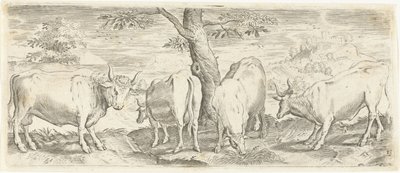 Vacas, um touro e um boi Animais (título da série) de Abraham de Bruyn (possibly)