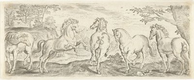 Cavalos Animais (título da série) de Abraham de Bruyn (possibly)