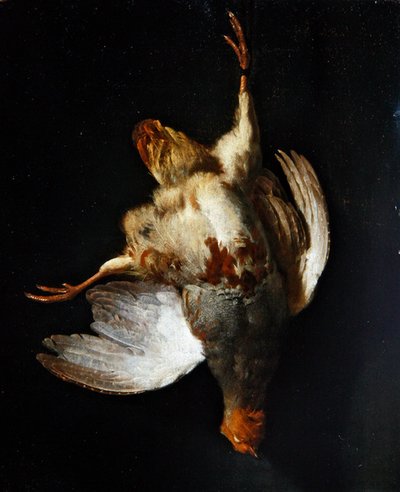 Uma natureza morta com uma perdiz pendurada em um prego (óleo no painel) de Abraham van Calraet