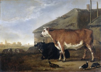 Bovinos de Abraham van Calraet