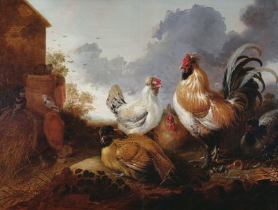 Aves em um curral de Abraham van Calraet