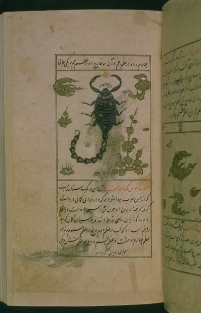 Constelações do zodíaco: Escorpião, o Escorpião, de Talim dar marifat i taqvuim, 1498 (903 Hijra) (tinta) de Abu Jafar al Tabari