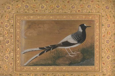 Garfo manchado, fólio do álbum Shah Jahan, reto: ca. 1610-15, verso ca. 1540. de Abu al Hasan