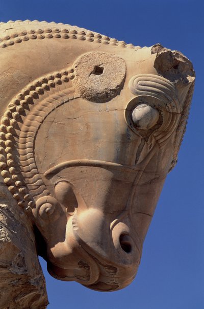 Cabeça de touro no pórtico norte do Salão do Trono de Xerxes de Achaemenid