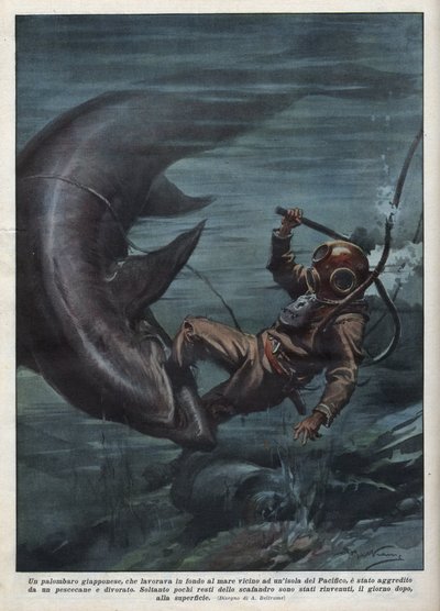 Um mergulhador japonês com um scaphandler foi devorado por um tubarão no Oceano Pacífico. Ilustração de Achille Beltrame de "La domenica del corriere" de 08/08/1937. de Achille Beltrame