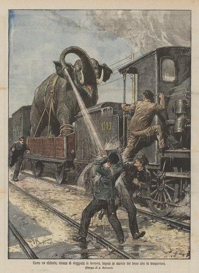 Como um elefante cansado de viajar na estrada de ferro, impedia a marcha do trem que o transportava. de Achille Beltrame