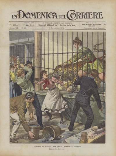 Drambles De Seraglio, Uma Pantera Contra Uma Menina de Achille Beltrame