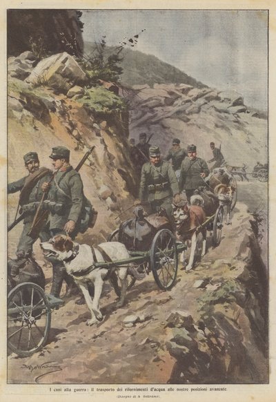 Cães em guerra, transportando suprimentos de água para nossas posições avançadas de Achille Beltrame