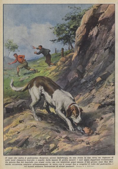 O cachorro que salva o dono de Achille Beltrame