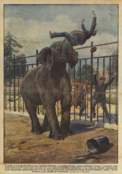 O crime do paquiderme de Achille Beltrame